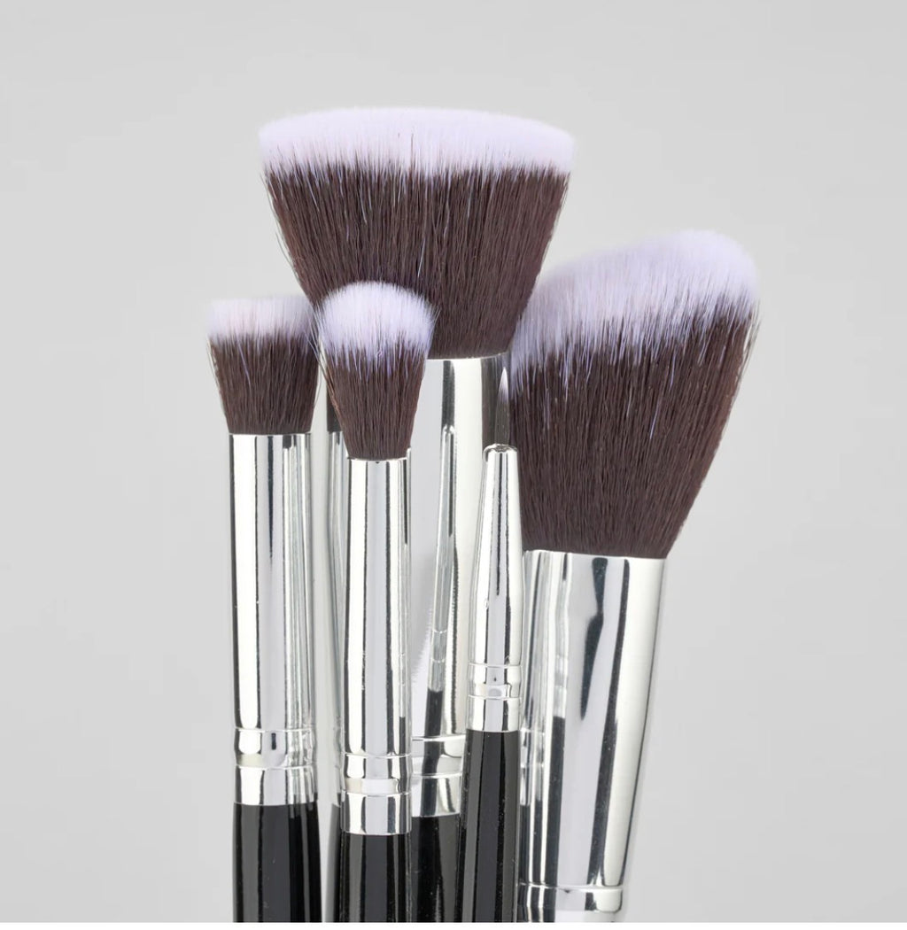 Kit de brochas Academy X 10 Pcs LULA