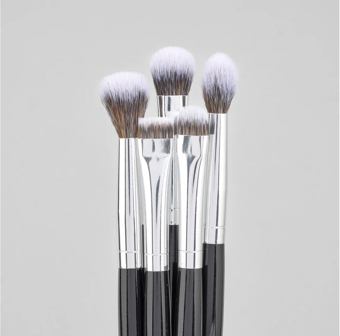 Kit de brochas Eclipse X 10 pcs LULA