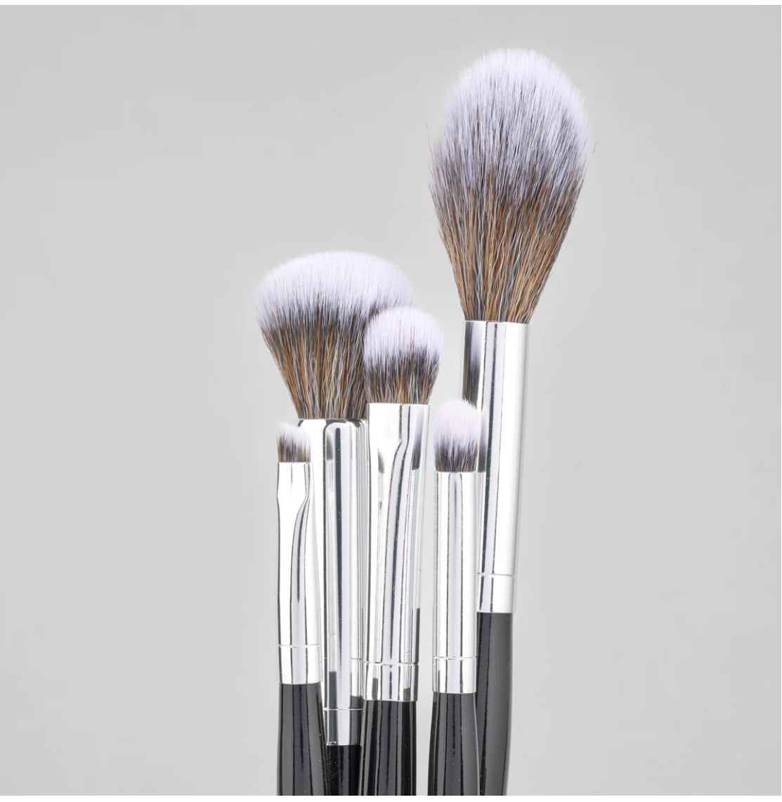 Kit de brochas Eclipse X 10 pcs LULA